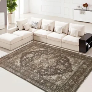 Loloi Merida LBrown Rug