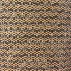 Wall to Wall Carpet Blossom